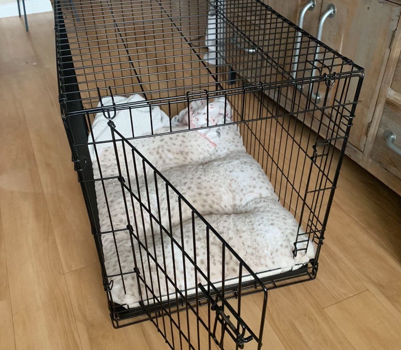 Dog Cage