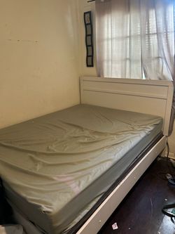 Bed frame and spring