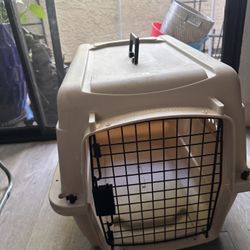 Big dog crate 