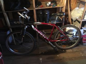 Avanti Ventura Comp Mountain Bike 100 OBO for Sale in Colorado