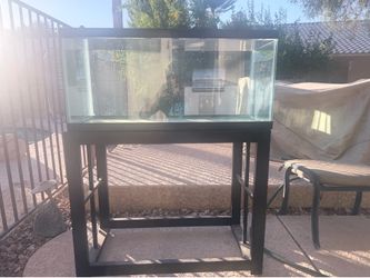 40 gallon tank w stand