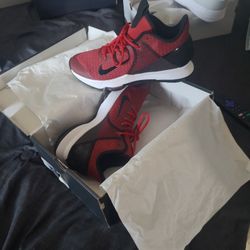 Lebron Shoes 