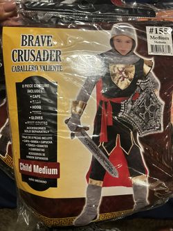 Brave Crusader Costume 