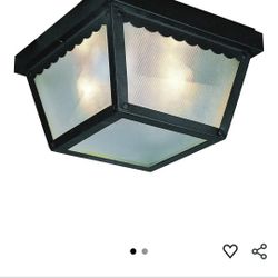 Trans Globe Lighting exterior ceiling fixture, model number 4901BK.