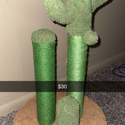 Cat Scratcher 