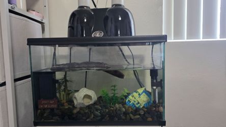 Fish Tank / Accessories