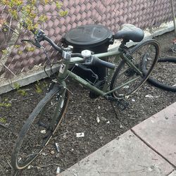 Retrospec bicycle large frame