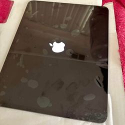iPad Pro 13 inch M4 Wi-Fi plus cellular 512 GB