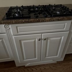 GE Pofile Appliances