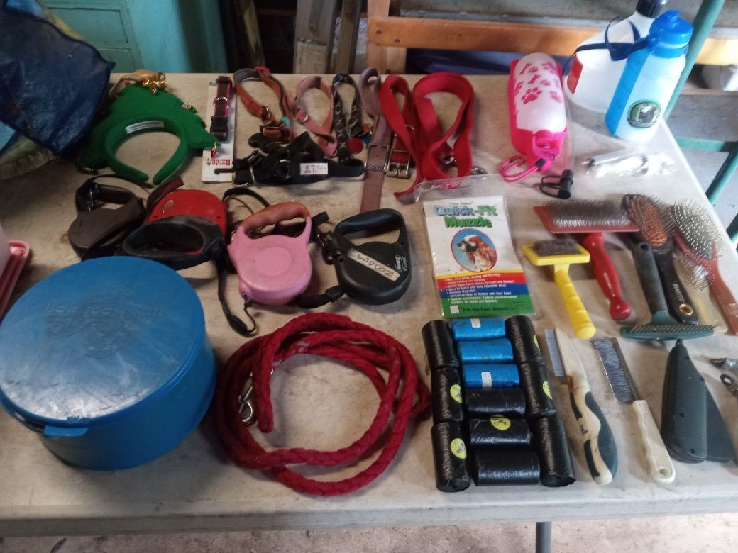 Dog Accessories Assorted 