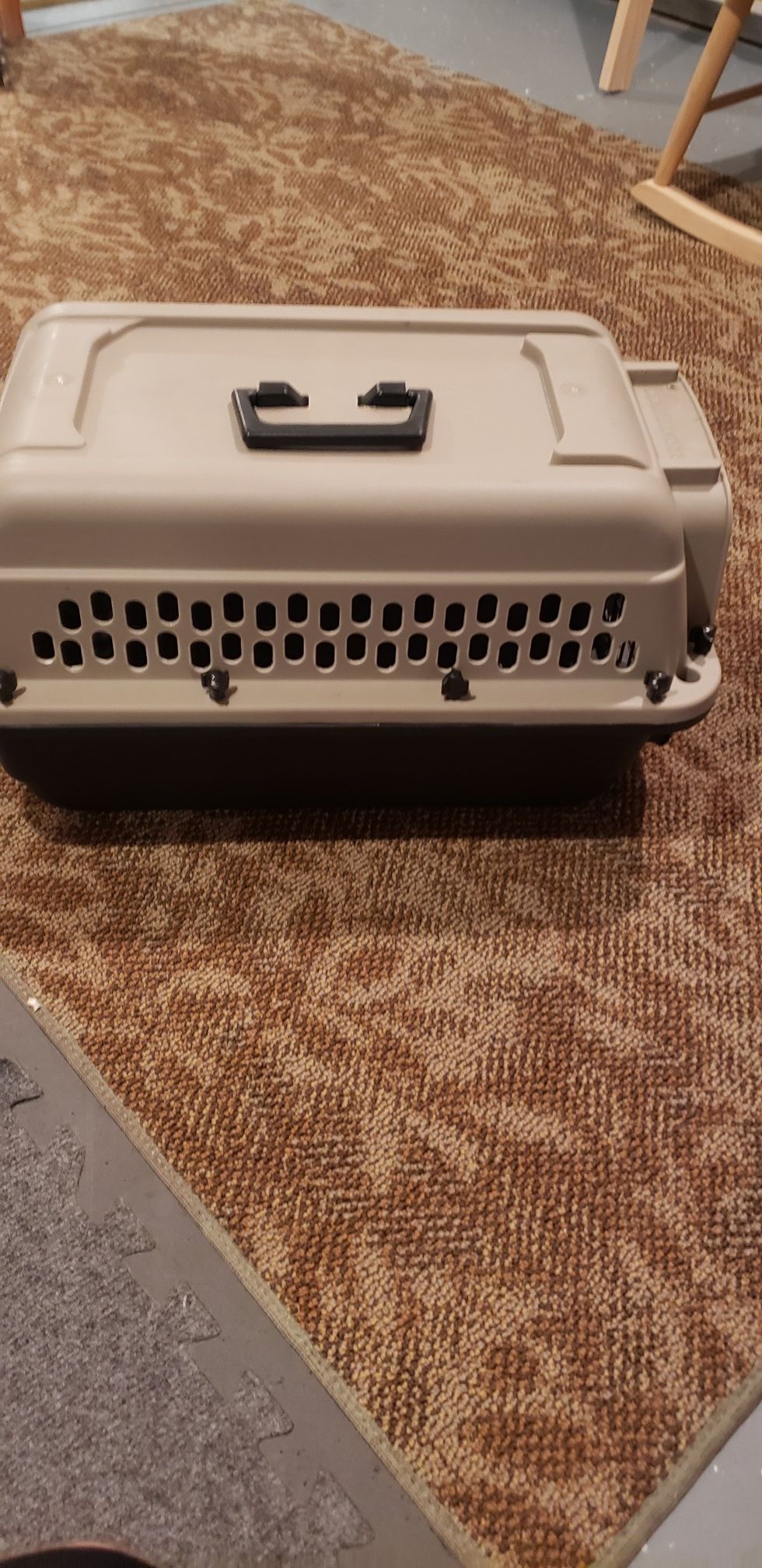 20 inch cat/small dog carrier