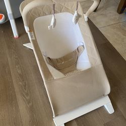 Baby Delight Bouncer 