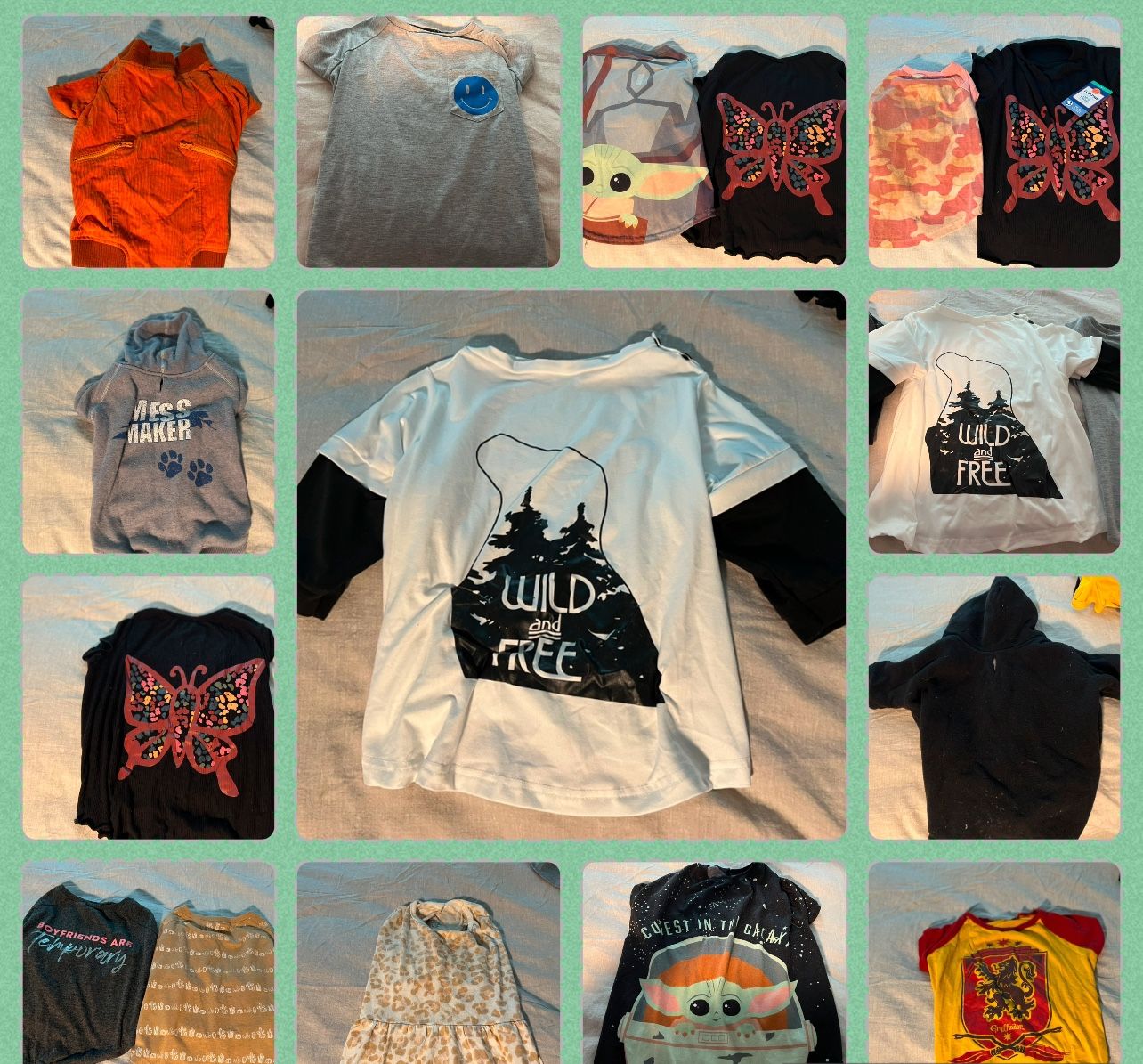 Lot Of Dog Clothes