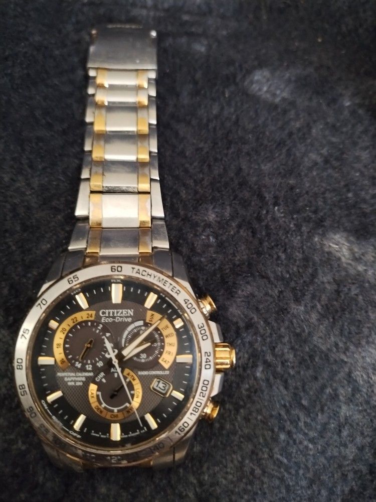 Citizen Echo Drive Watch