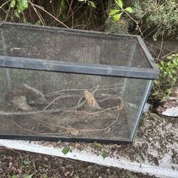 10 Gallon Reptile Tank With Water Bowl