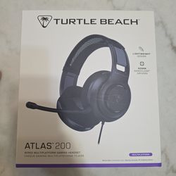 Turtle beach