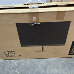 Computer Monitor 