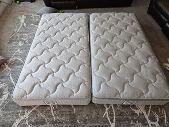 Sealy mattress (single size)