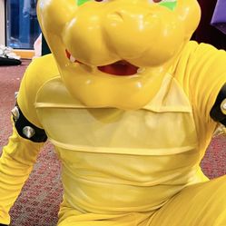 Bowser Costume (Mario Brothers )