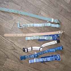 Dog Collars New! Sz M