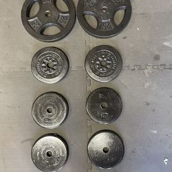 Weight  plates          80 dollars