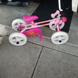 Girls Bicycle 