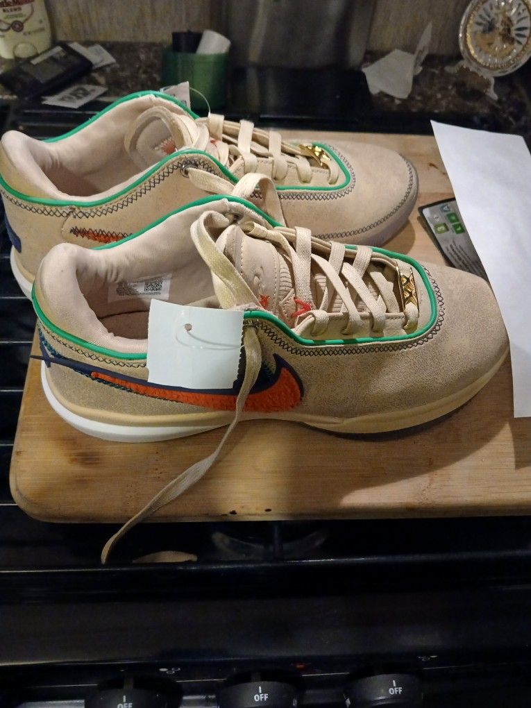 Nike LeBron Shoes