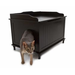 Designer Cat box 