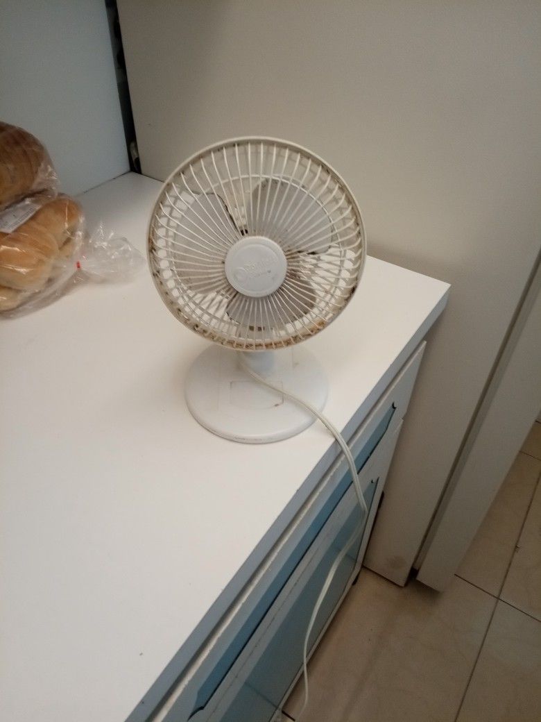 Small Fan