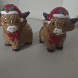 Highland Cows S& P Shajers