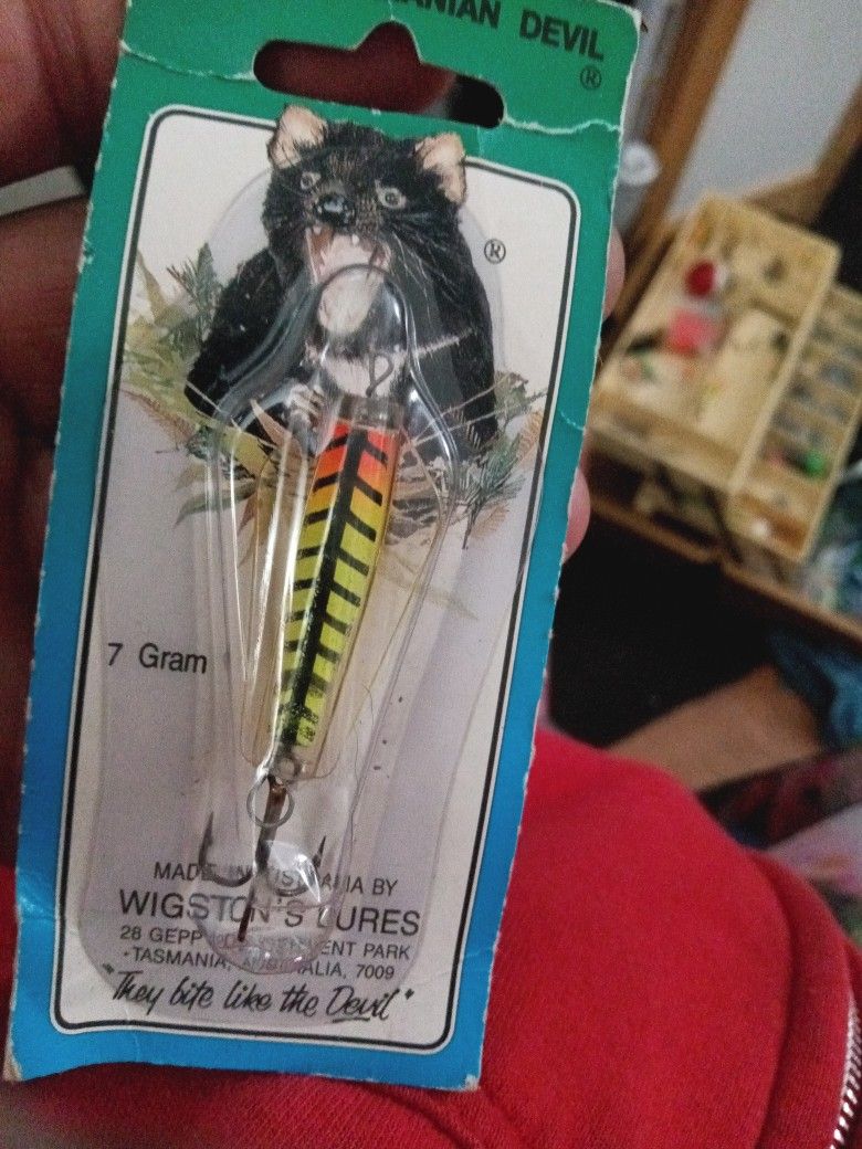 Fish