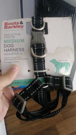 Harness for medium sized dog