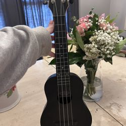 Flight Travel Ukulele 