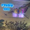 Buche06
