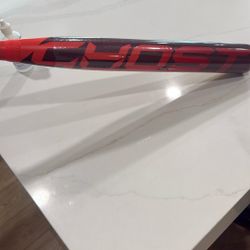 New Easton Ghost Softball Bat 33in