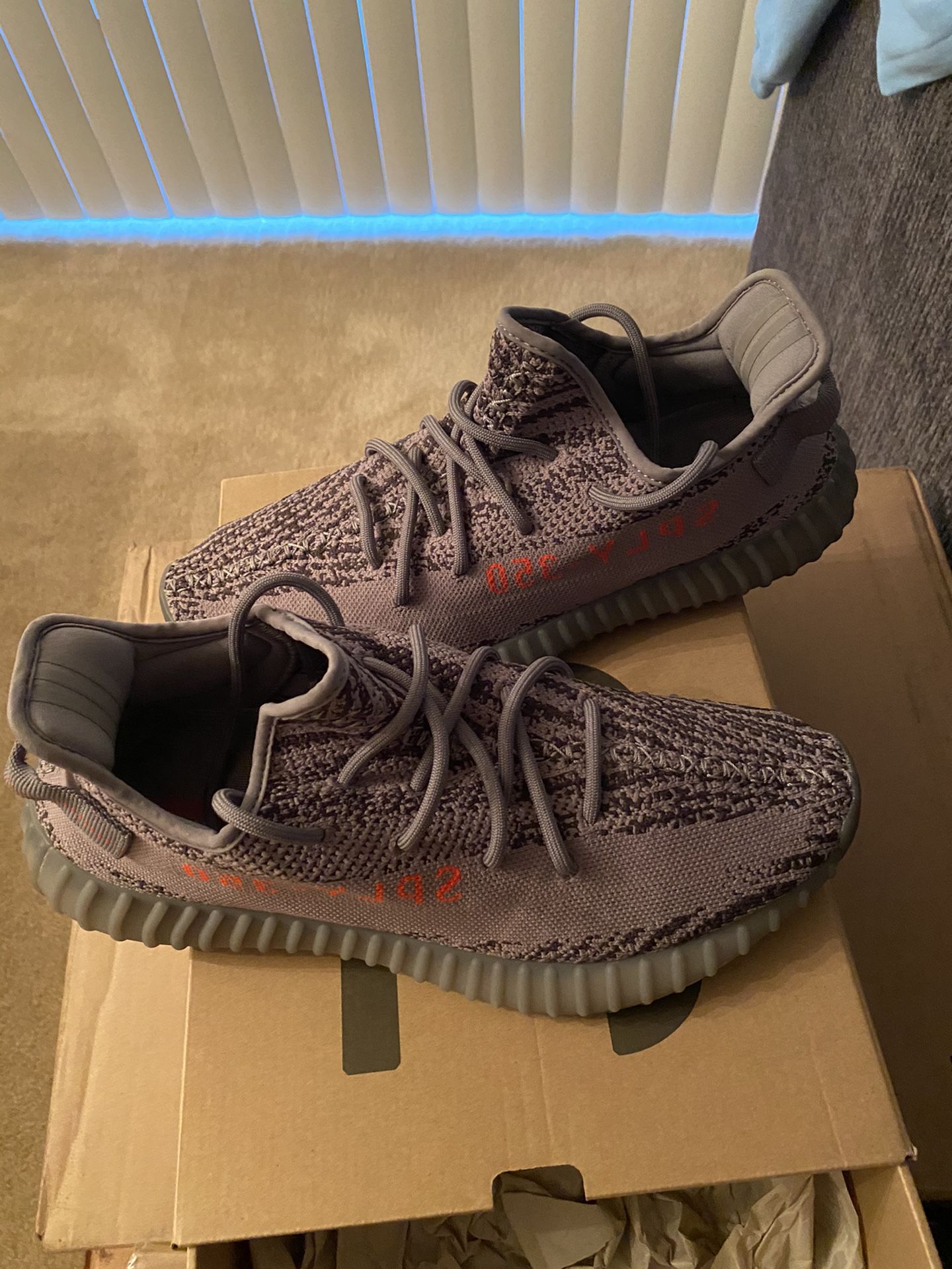 Beluga 2.0 yeezy size 11