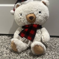 Teddy