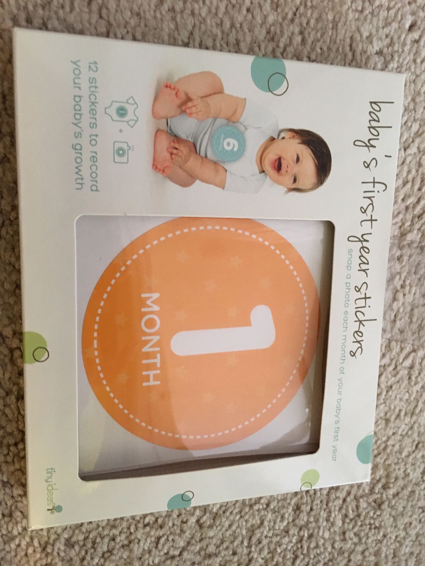 Baby month milestone stickers