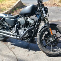 21 Harley Davidson Iron 883 Motorcycle 