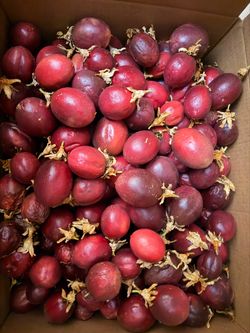 Fresh organic passion fruit