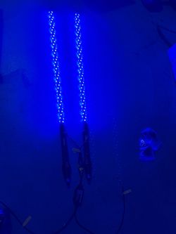 3FT LED Whip Lights