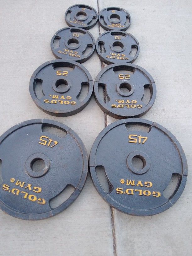 Golds Gym 170lb Olympic Weight Set for Sale in Fresno, CA OfferUp
