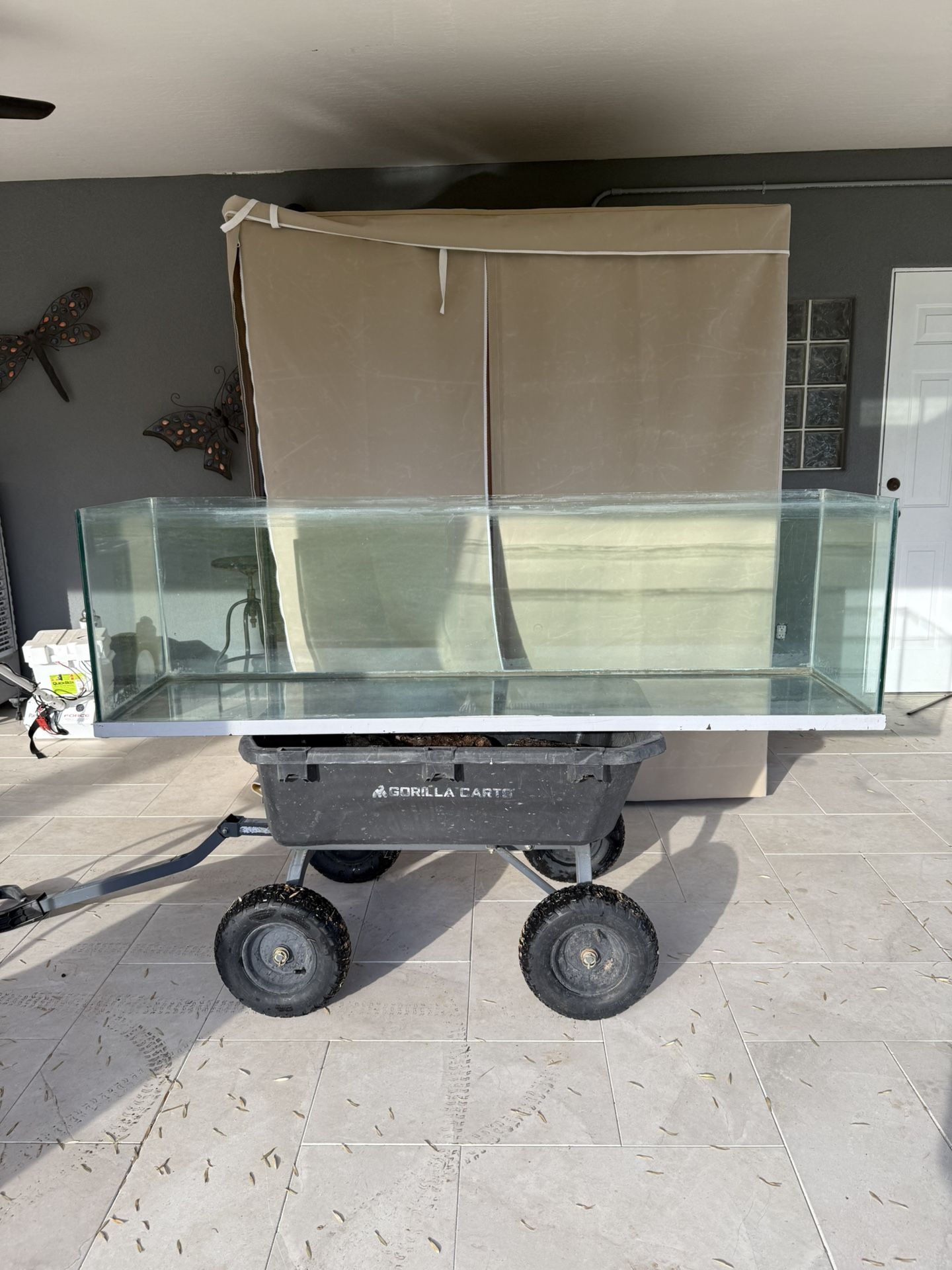 125 Gallon Fish Tank