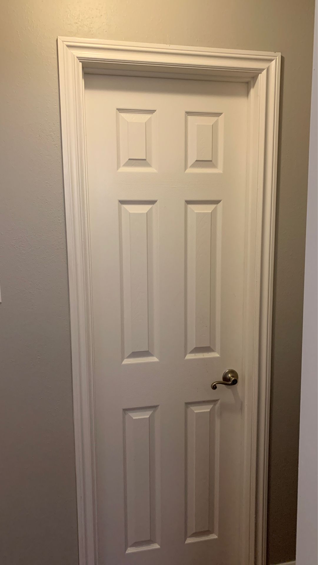24x80 Interior Door