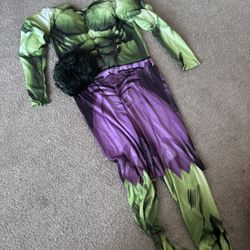 Incredible Hulk Costume 