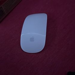 Apple Mouse 