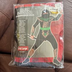 Dragon Slayer Costume Kids Large
