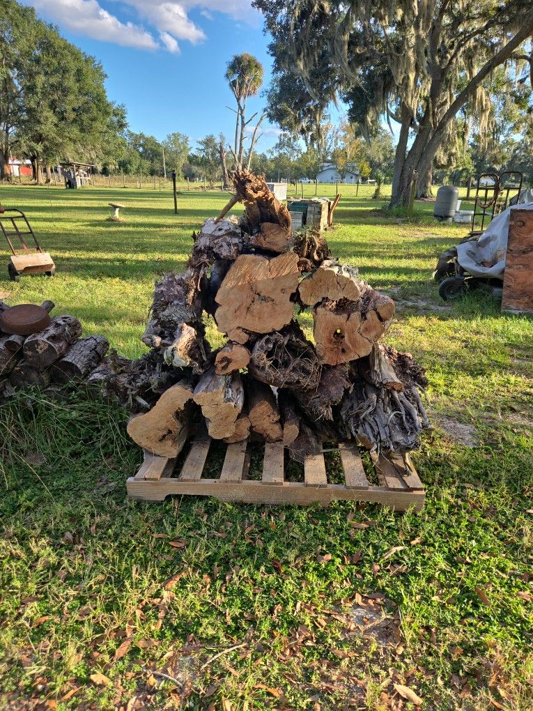 Lighter Knot Starter Wood