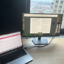 Dell 24 Inch Monitor