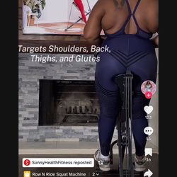 Sunny Fitness Row And  Ride